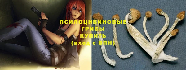 прущие крисы Нефтекумск